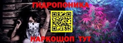стаф Аргун