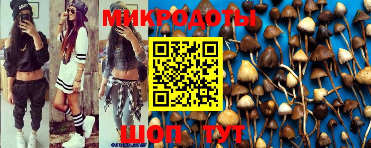 как найти закладки  Вход с VPN  Волгодонск  Галлюциногенные грибы Cubensis 